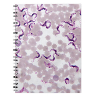 Caderno Espiral Parasita Trypanosoma do sangue