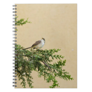 Caderno Espiral Pardal