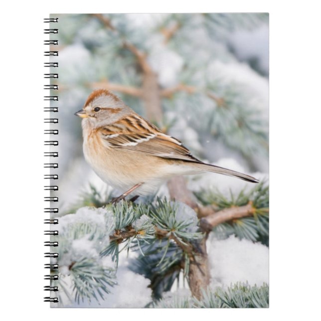 Caderno Espiral Pardal-americano no inverno (Frente)