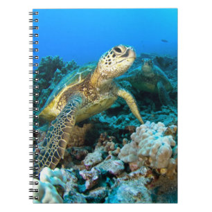 Caderno Espiral Pares da tartaruga