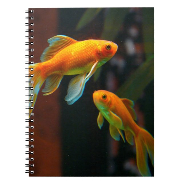 Caderno Espiral Pares de peixe dourado afortunado (Frente)