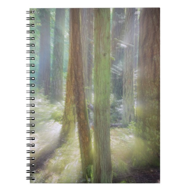 Caderno Espiral Parque Estadual da Praia Scenic (Frente)