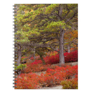Caderno Espiral Parque Nacional de Acadia, Maine