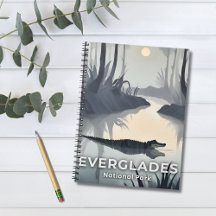 Parque Nacional Everglades | Jacaré em Aquarela