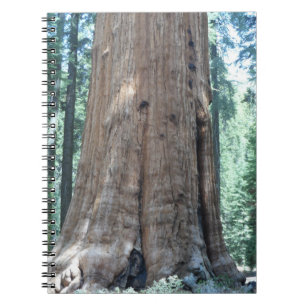Caderno Espiral Parque Nacional Sequoia
