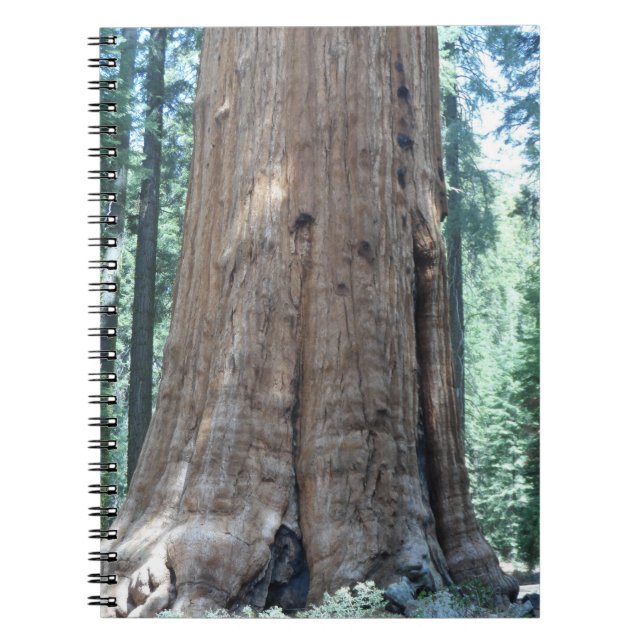 Caderno Espiral Parque Nacional Sequoia (Frente)