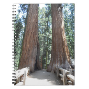 Caderno Espiral Parque Nacional Sequoia