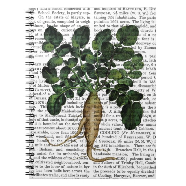 Caderno Espiral Parsnip 1 (Frente)