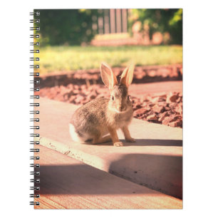 Caderno Espiral páscoa de fotos coelho