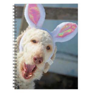 Caderno Espiral Páscoa Ollie