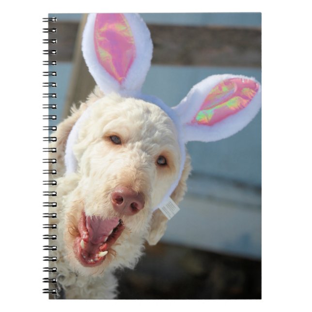 Caderno Espiral Páscoa Ollie (Frente)