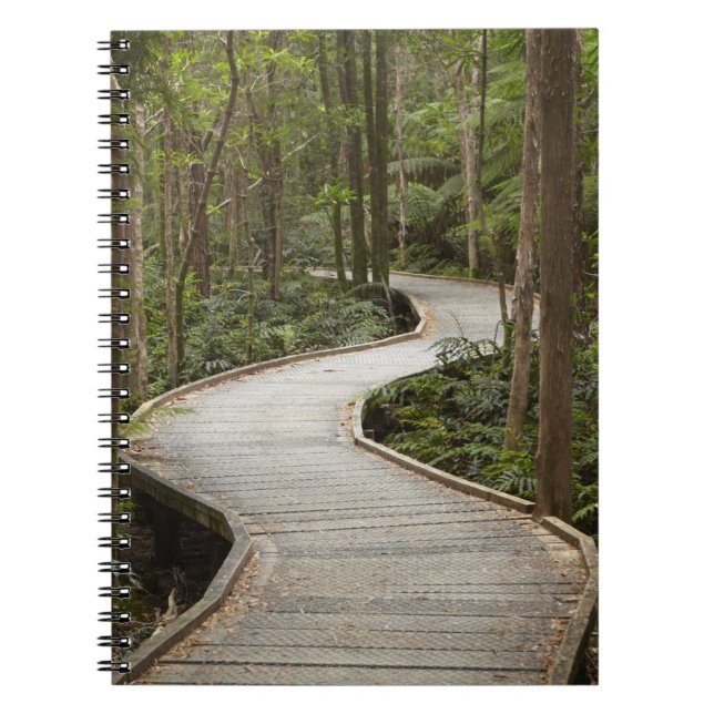 Caderno Espiral Passarela para Nelson Falls, Franklin - Gordon (Frente)