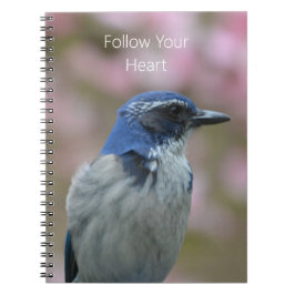 Caderno Espiral Pássaro Azul (minha fotografia)