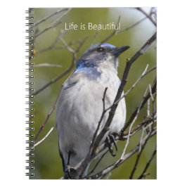 Caderno Espiral Pássaro Azul na Árvore (minha fotografia)