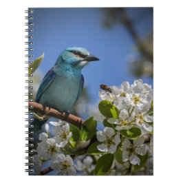 Caderno Espiral Pássaro Azul no Flor