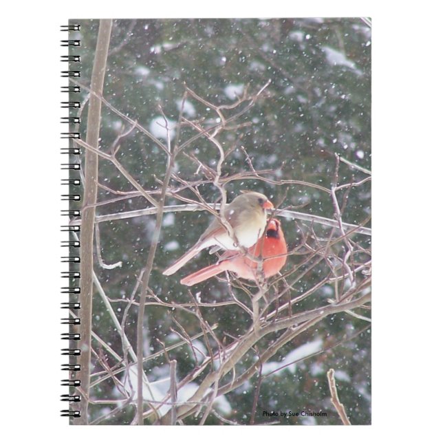 Caderno Espiral Pássaro Cardinal Vermelho (Frente)