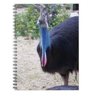 Caderno Espiral Pássaro Cassovário Azul Grande,