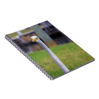 Caderno Espiral Pássaro com Pescoço Longo