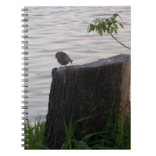 Caderno Espiral Pássaro em um Toco