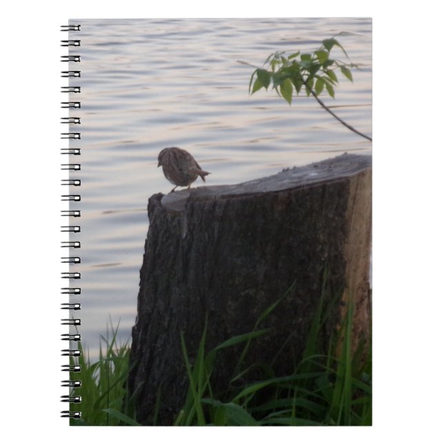 Caderno Espiral Pássaro em um Toco (Frente)