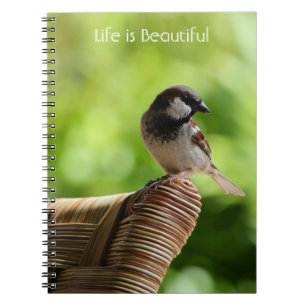 Caderno Espiral Pássaro Kauai Havaí (minha fotografia)