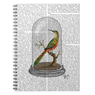 Caderno Espiral Pássaro na barra