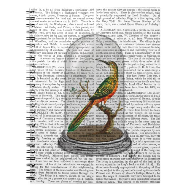 Caderno Espiral Pássaro na barra (Frente)