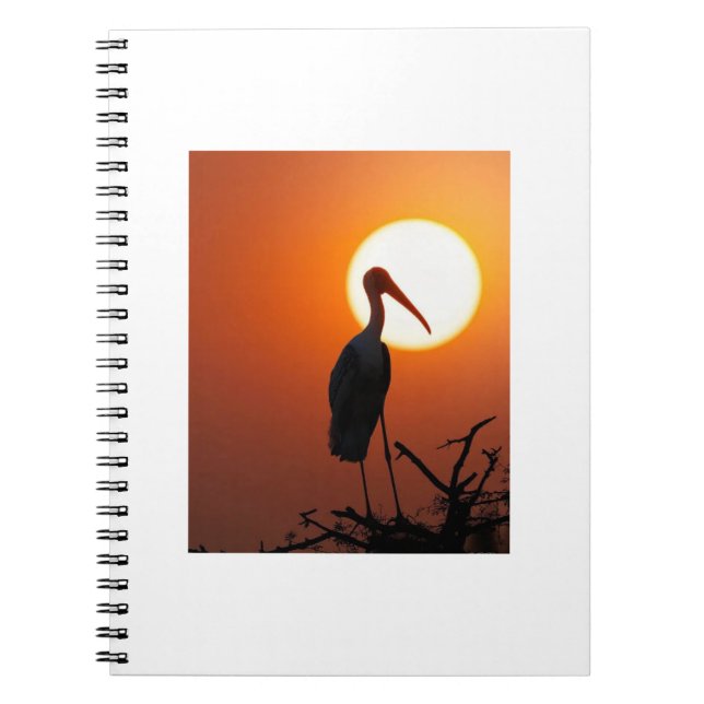 Caderno Espiral Pássaro Sunset na Ramificação - Nature Wall Art (Frente)