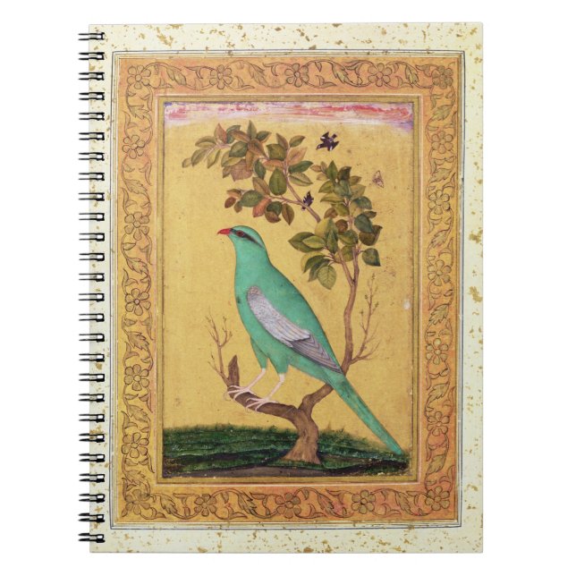 Caderno Espiral Pássaro verde, Mughal (gouache no papel) (Frente)