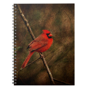 Caderno Espiral Pássaro vermelho