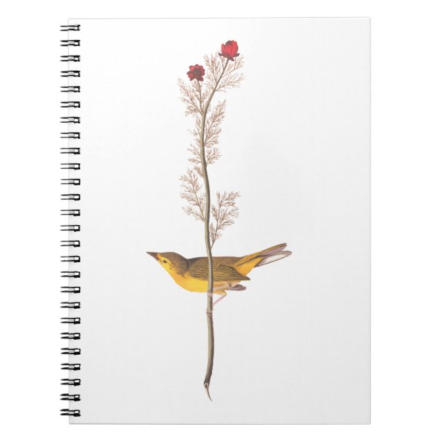 Caderno Espiral Pássaro Warbler Hooded de Audubon na Flor Vermelha (Frente)