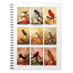 Caderno Espiral Pássaros