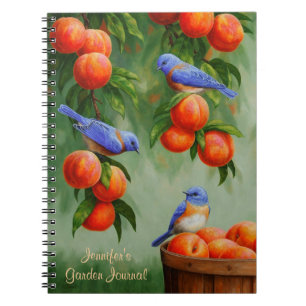 Caderno Espiral Pássaros-azuis em um pomar de árvore