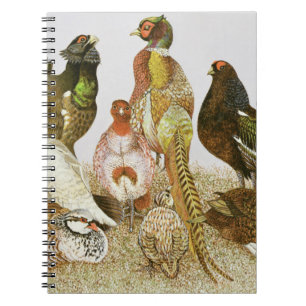 Caderno Espiral Pássaros de jogo