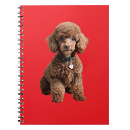 Caderno Espiral Pasta de Cachorro de Xícara Fofa Pasta Vermelha
