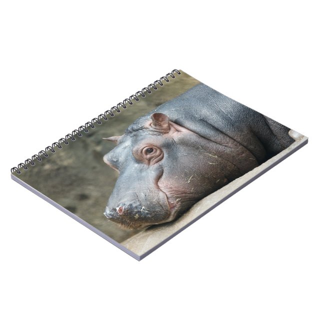 Caderno Espiral Pasta Hippopotamus (Left Side)