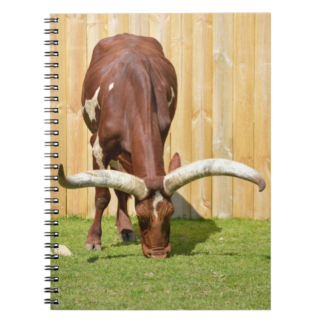 Caderno Espiral Pastagem Ankole-Watusi (Frente)