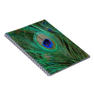 Caderno Espiral Patilha Azul Indiana