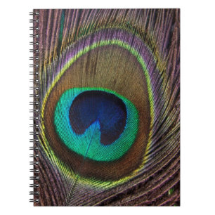 Caderno Espiral Patilha Colorida Personalizada
