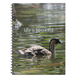 Caderno Espiral Pato de Kauai Havaí (minha fotografia)