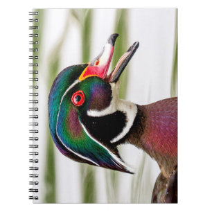 Caderno Espiral Pato de Madeira