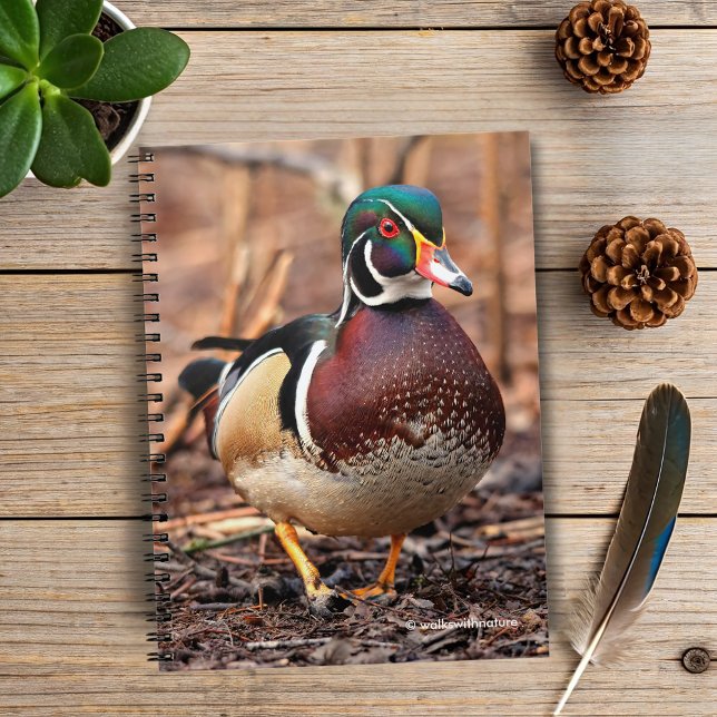 Caderno Espiral Pato de madeira masculina na floresta (Wood Duck in the Woods Journal Cover Photo)