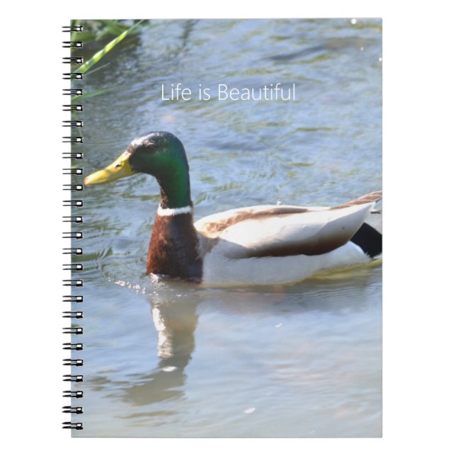 Caderno Espiral Pato-real (minha fotografia) (Frente)