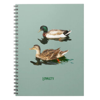Caderno Espiral Patos-de-pata