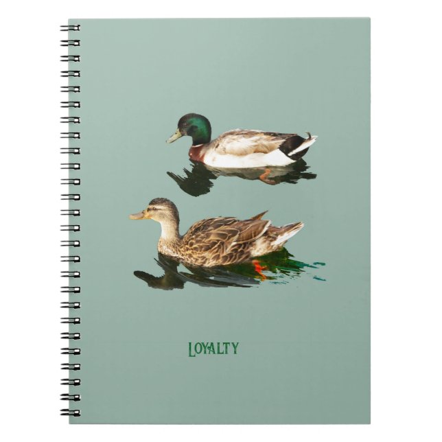 Caderno Espiral Patos-de-pata (Frente)