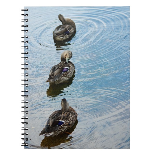 Caderno Espiral Patos em um notebook de linha (Frente)