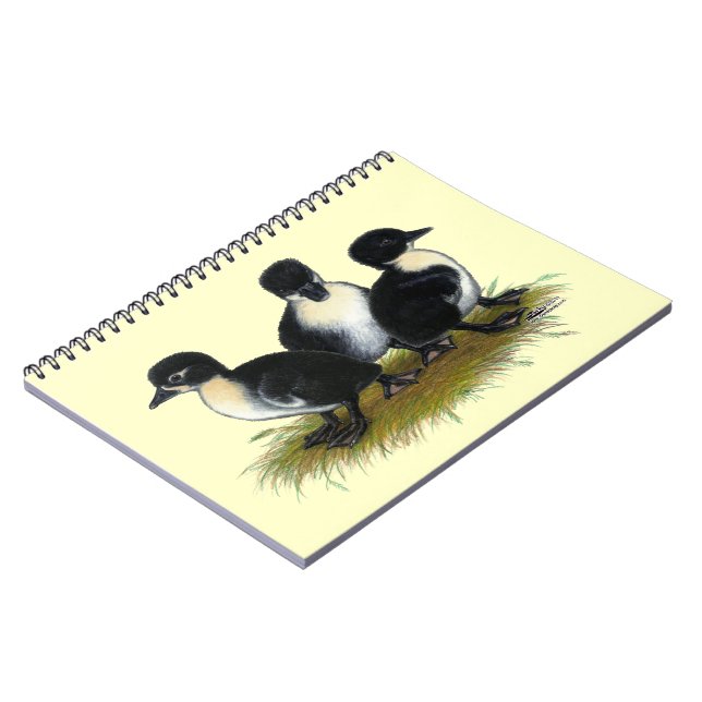 Caderno Espiral Patos Pretos Suecos (Left Side)