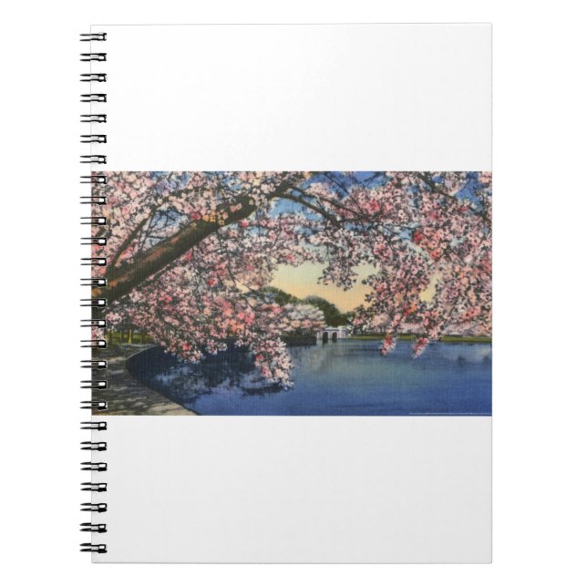 Caderno Espiral PAU43 Basin.tif maré (Frente)