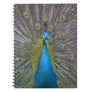 Caderno Espiral Pavão Atormentado