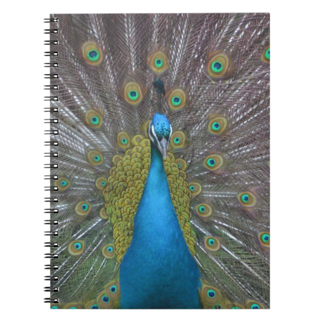 Caderno Espiral Pavão Atormentado (Frente)